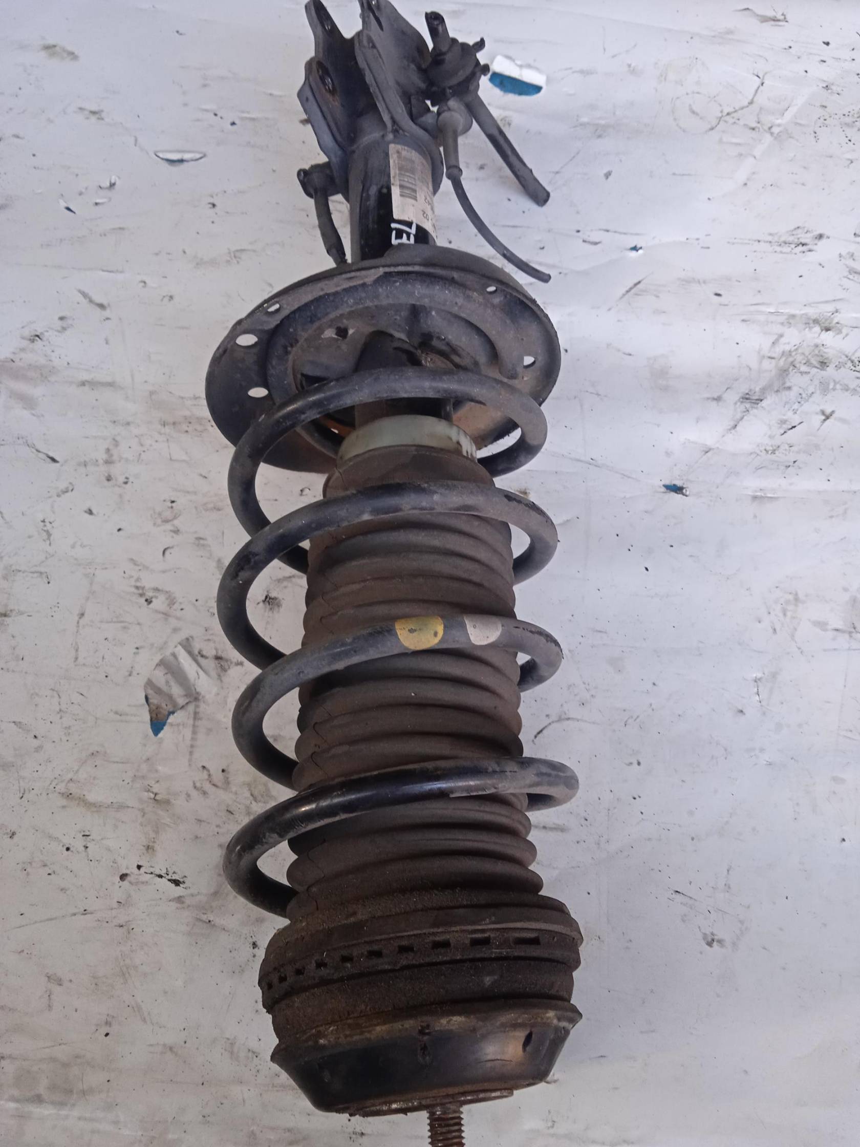 Ammortizzatore ant. sx.